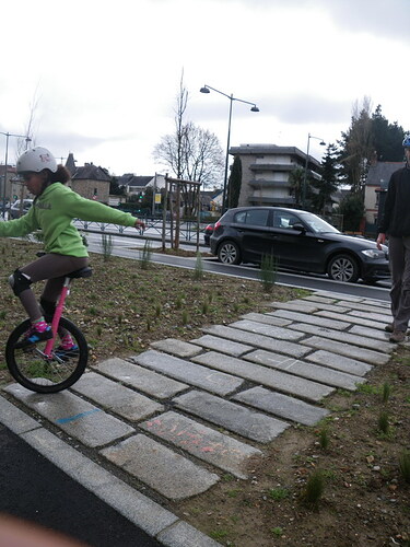 IMGP2607_redimensionner.JPG